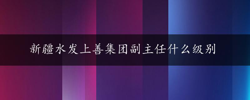 新疆水发上善集团副主任什么级别