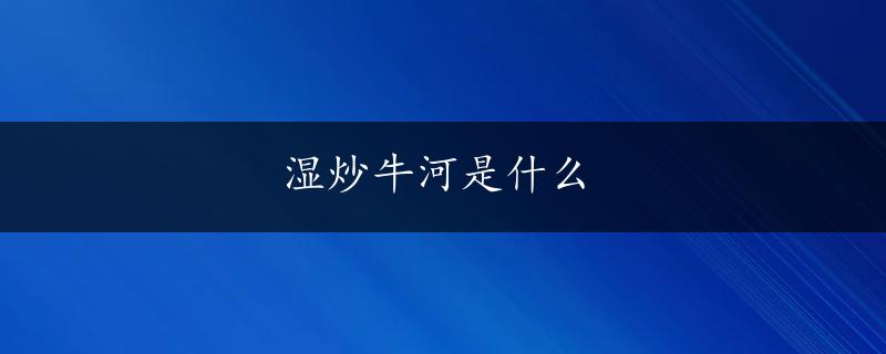 湿炒牛河是什么