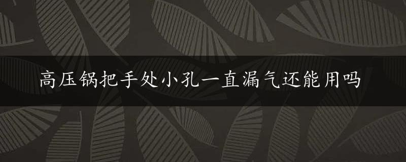 高压锅把手处小孔一直漏气还能用吗