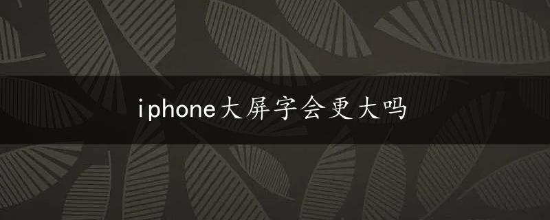 iphone大屏字会更大吗