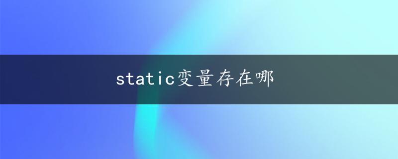 static变量存在哪