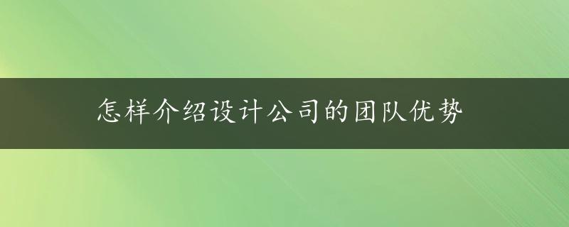 怎样介绍设计公司的团队优势