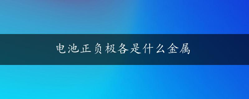 电池正负极各是什么金属