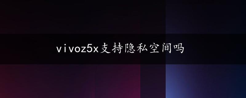 vivoz5x支持隐私空间吗