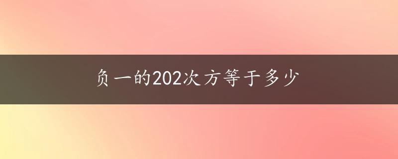 负一的202次方等于多少