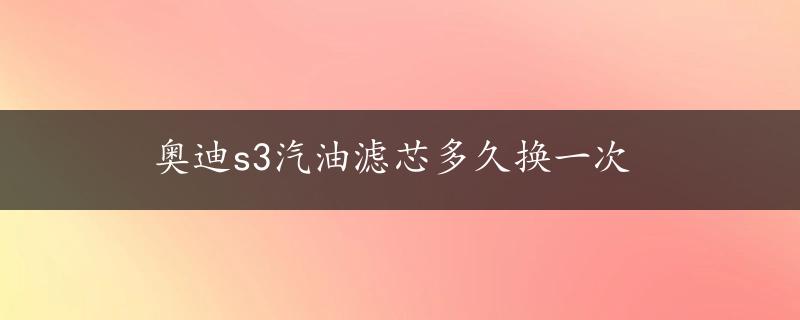 奥迪s3汽油滤芯多久换一次