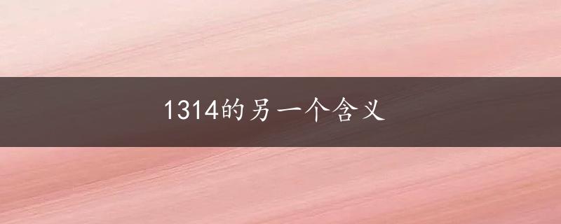 1314的另一个含义