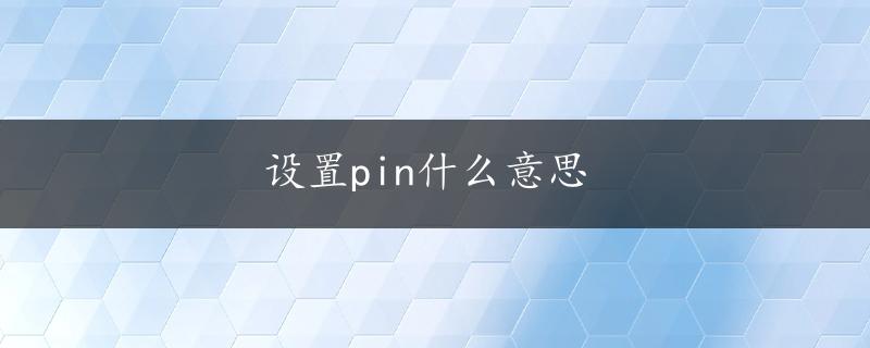 设置pin什么意思