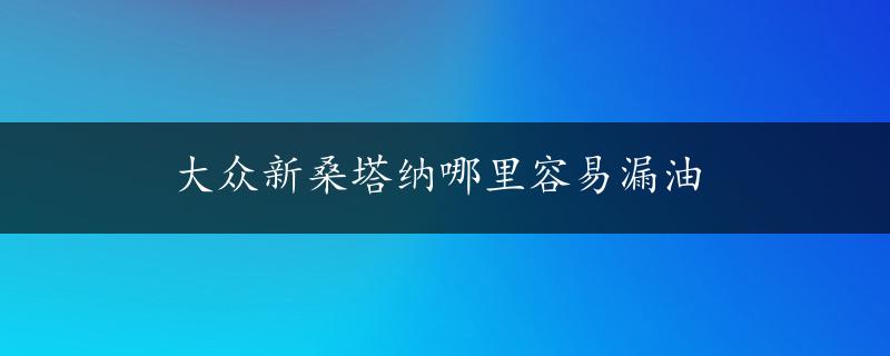 大众新桑塔纳哪里容易漏油