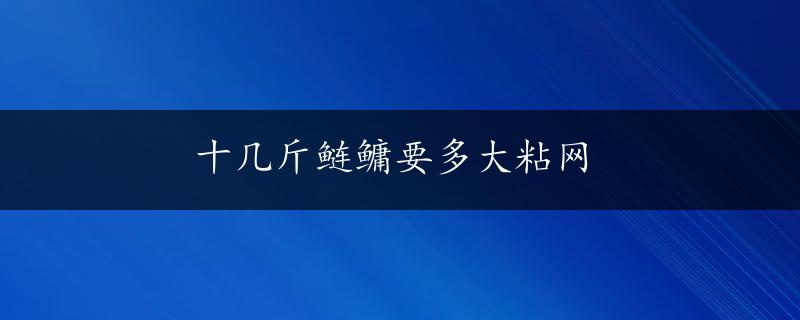 十几斤鲢鳙要多大粘网