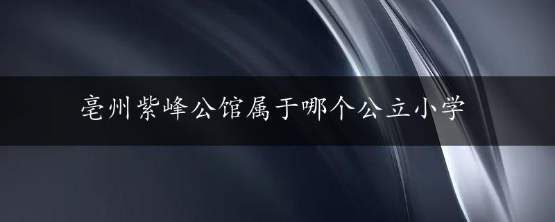 亳州紫峰公馆属于哪个公立小学