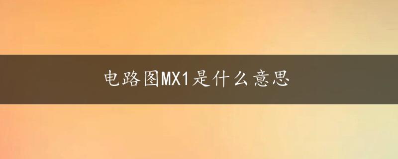 电路图MX1是什么意思