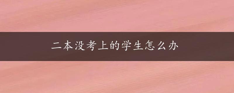 二本没考上的学生怎么办