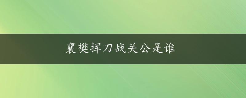 襄樊挥刀战关公是谁