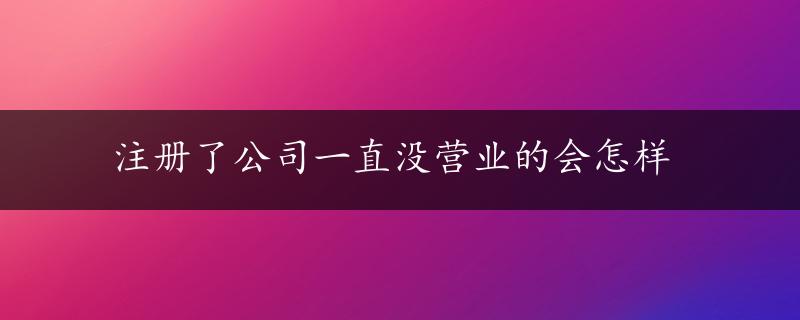 注册了公司一直没营业的会怎样