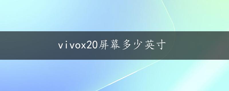 vivox20屏幕多少英寸