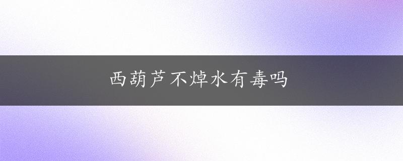 西葫芦不焯水有毒吗