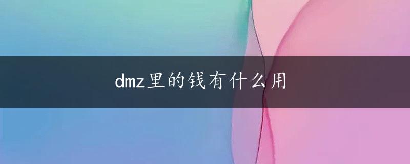 dmz里的钱有什么用