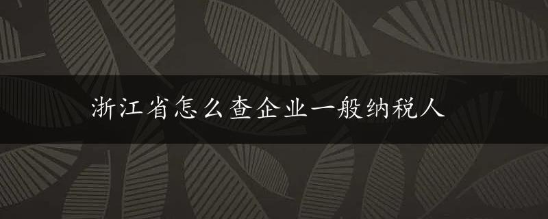 浙江省怎么查企业一般纳税人