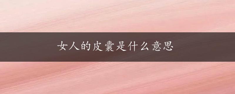 女人的皮囊是什么意思