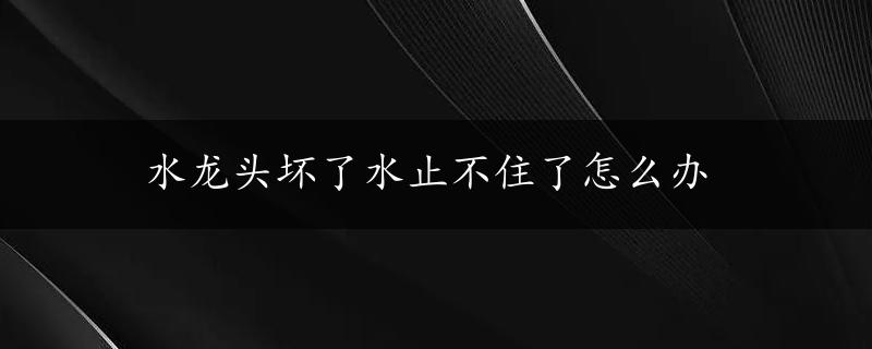 水龙头坏了水止不住了怎么办