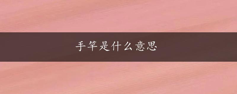 手竿是什么意思