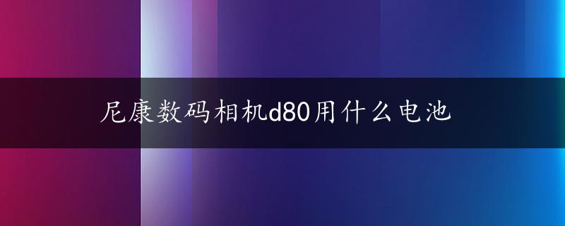 尼康数码相机d80用什么电池