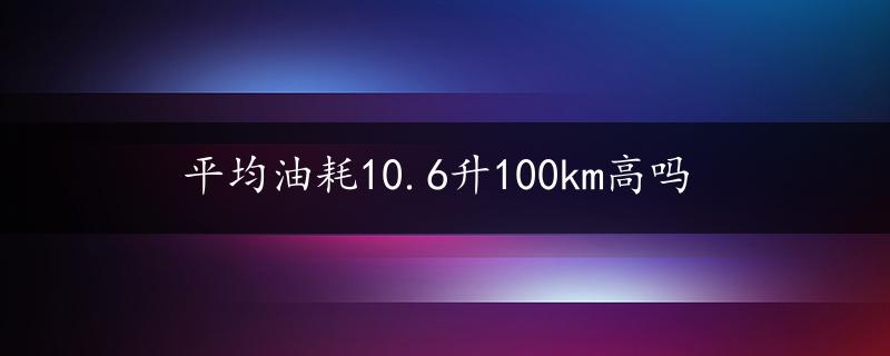 平均油耗10.6升100km高吗