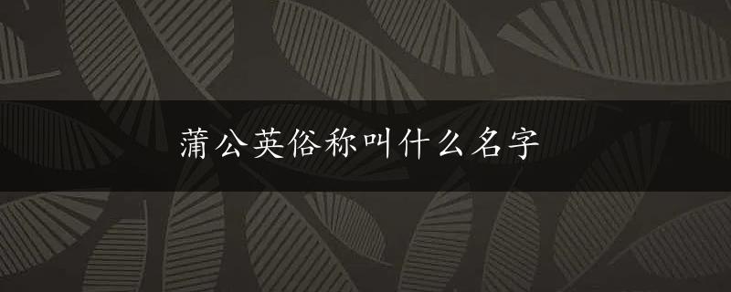 蒲公英俗称叫什么名字