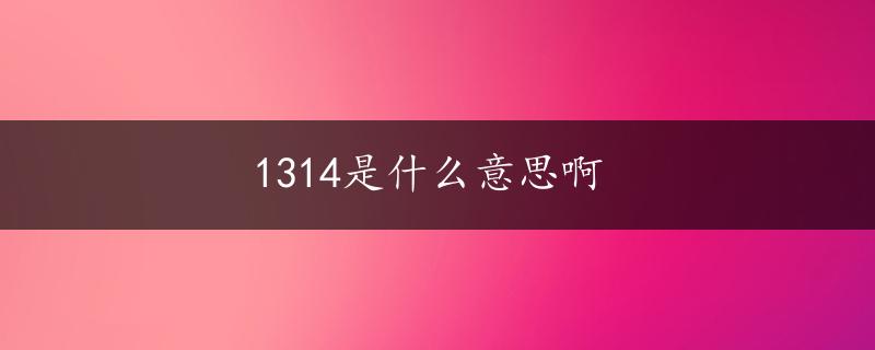 1314是什么意思啊