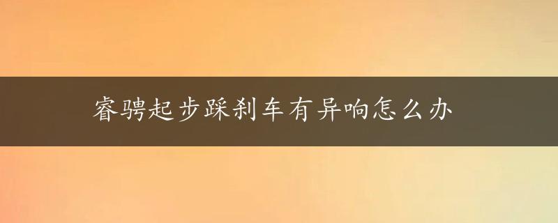 睿骋起步踩刹车有异响怎么办