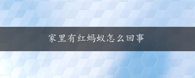 家里有红蚂蚁怎么回事