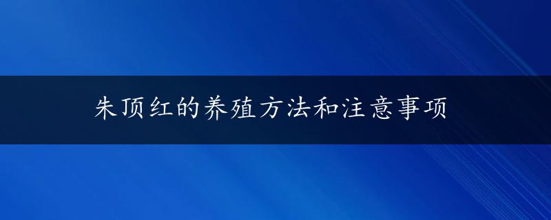 朱顶红的养殖方法和注意事项