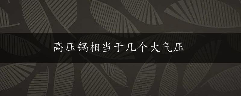 高压锅相当于几个大气压