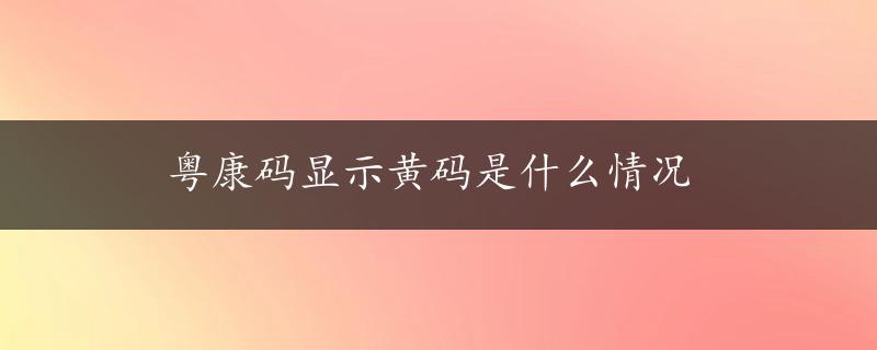 粤康码显示黄码是什么情况