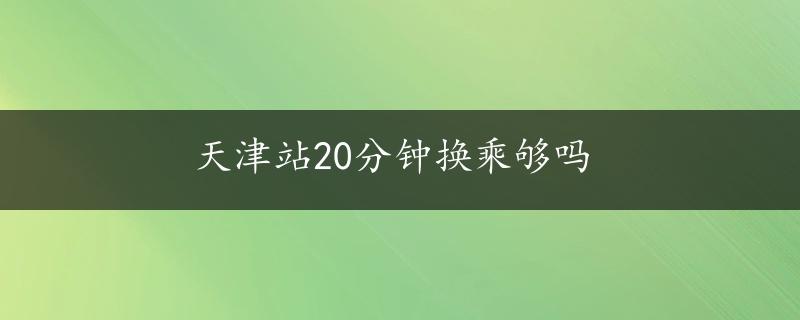 天津站20分钟换乘够吗