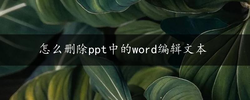 怎么删除ppt中的word编辑文本