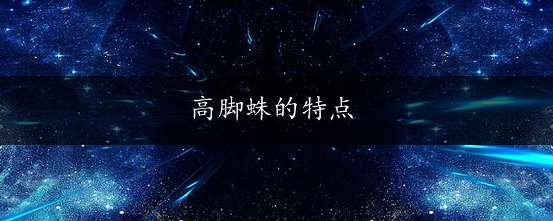 高脚蛛的特点