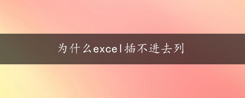 为什么excel插不进去列