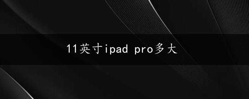 11英寸ipad pro多大