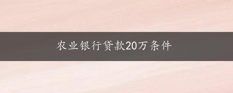 农业银行贷款20万条件