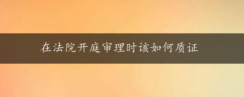 在法院开庭审理时该如何质证