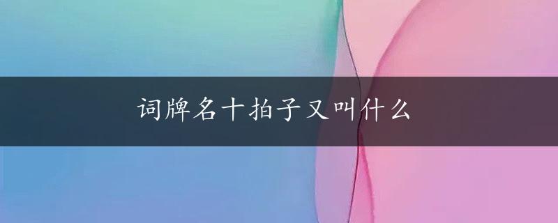 词牌名十拍子又叫什么