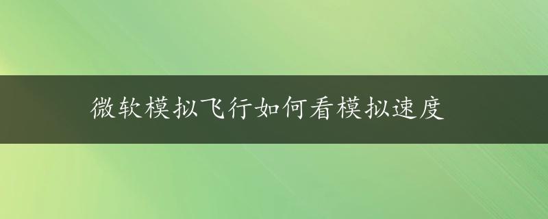 微软模拟飞行如何看模拟速度