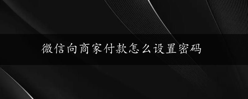 微信向商家付款怎么设置密码