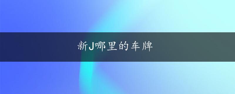 新J哪里的车牌