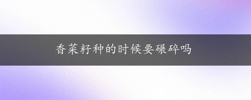 香菜籽种的时候要碾碎吗