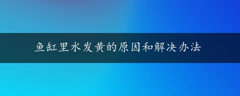 鱼缸里水发黄的原因和解决办法