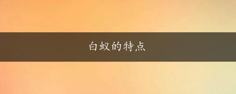 白蚁的特点