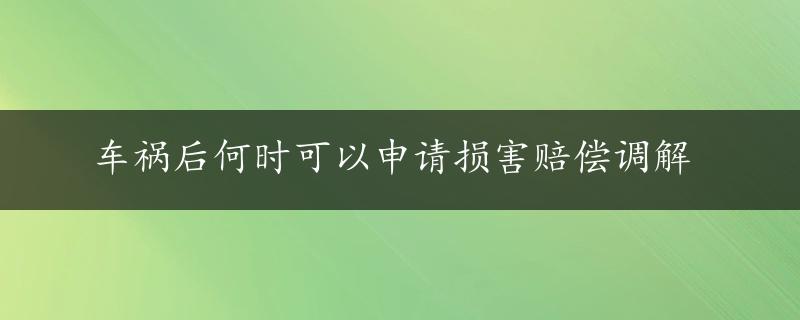 车祸后何时可以申请损害赔偿调解